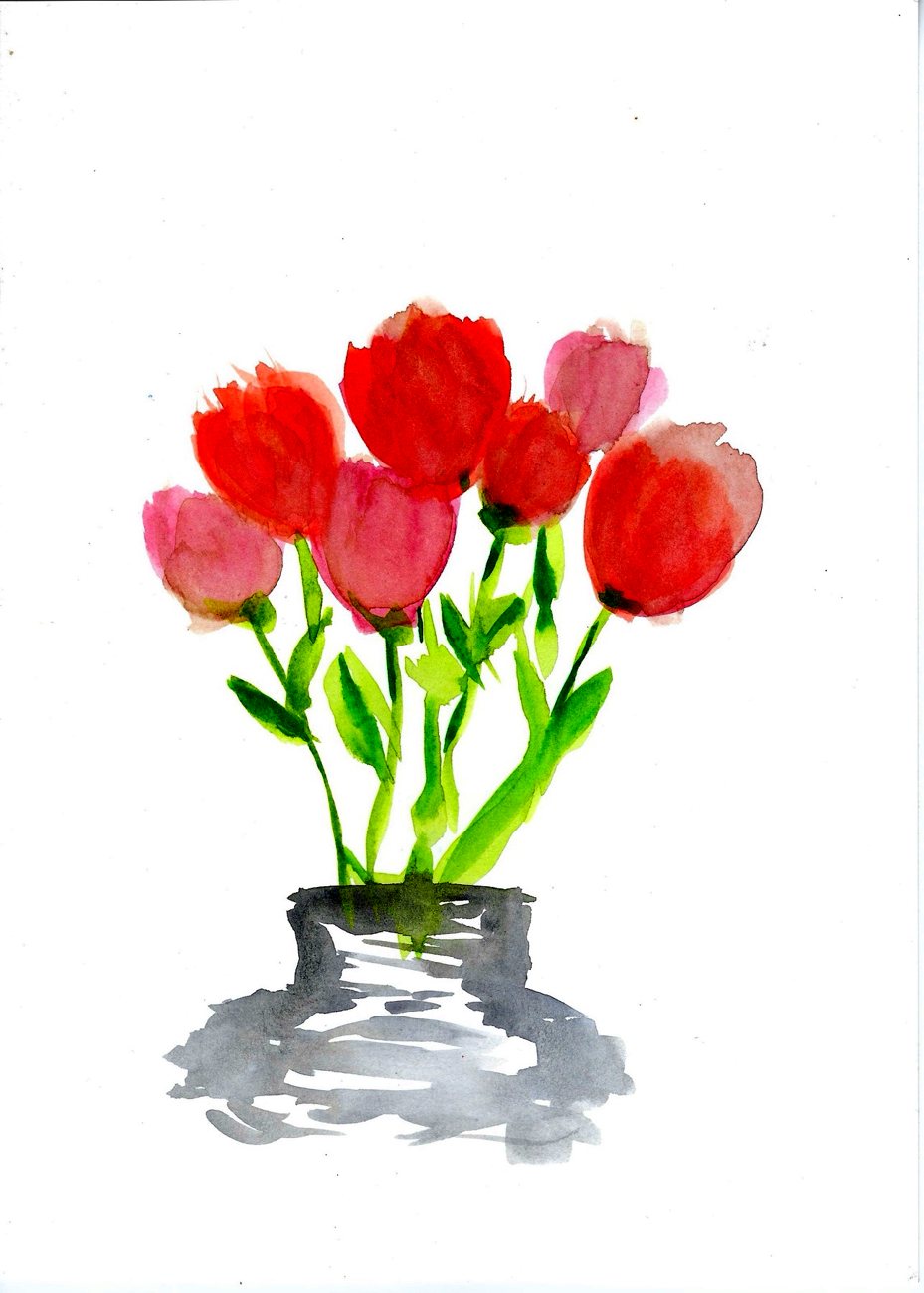 Tulips